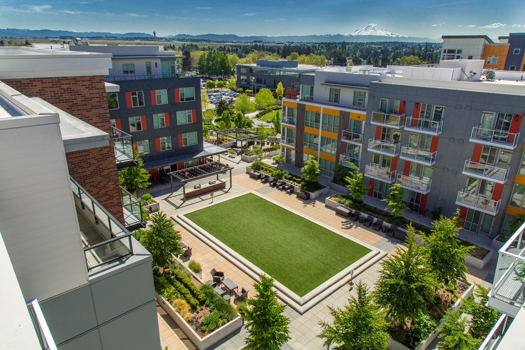 Grass courtyard with view of Mount Rainier