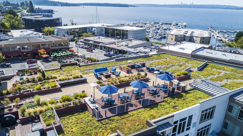 Aerial Rooftop Deck Views - The 101 Apartments, Kirkland WA - Photo Gallery