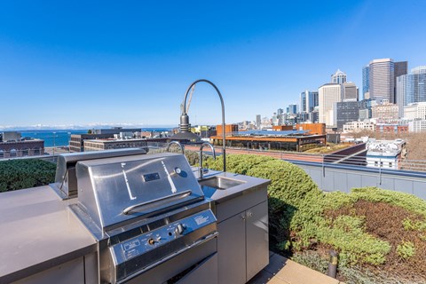 a barbecue grill with a view of the city