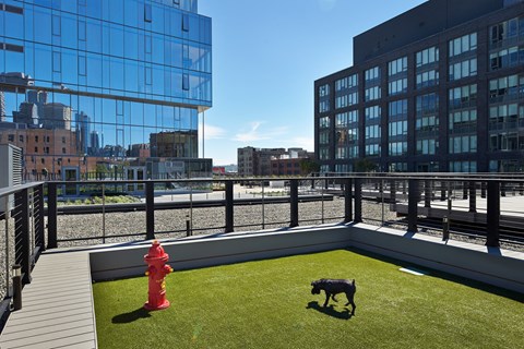 a roof terrace with a dog lawn and a fire hydrant