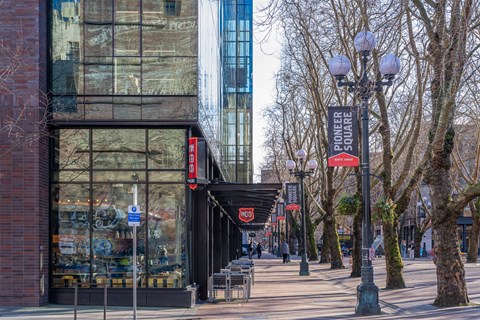 a city street with trees and street lights and a building