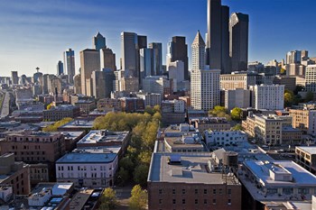 521 Stadium Place S Studio-2 Beds Apartment for Rent - Photo Gallery 4