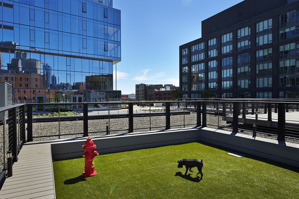 a roof terrace with a dog lawn and a fire hydrant
