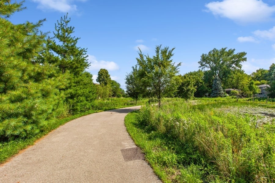 A curvy pathway surrounded by greenery under a blue sky.