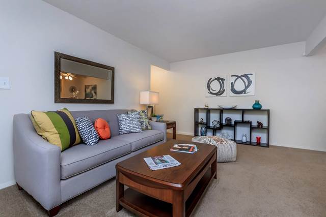 1-bedroom apartment at Honeywood Apartments in Roanoke, VA