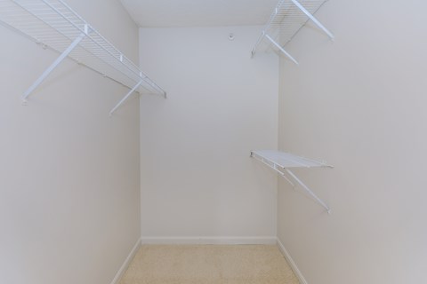 Empty white closet with shelves and a carpeted floor.