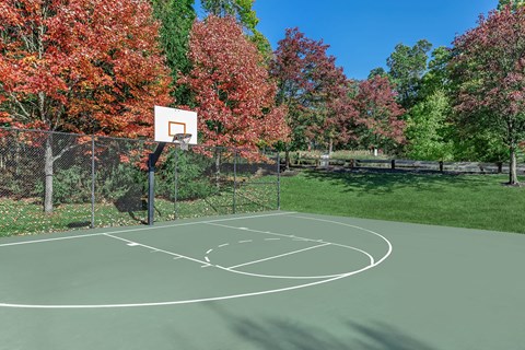 a basketball court in a park with trees