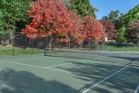 a tennis court with trees in the background