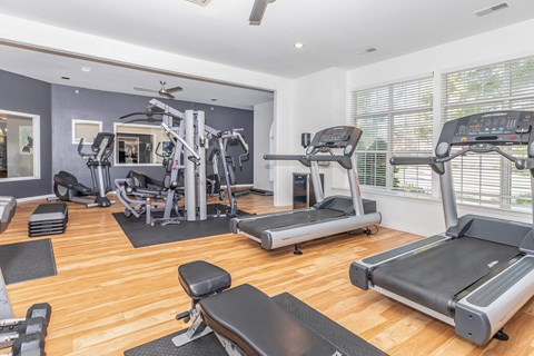 the gym has plenty of exercise equipment and windows