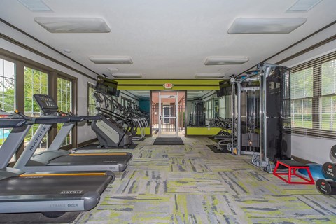 a gym with treadmills and weights in a room with windows
