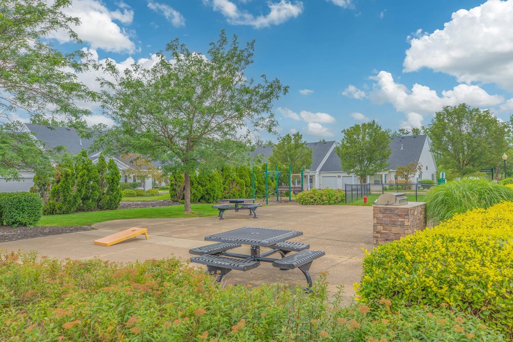 a picnic area with benches and a picnic table in a park