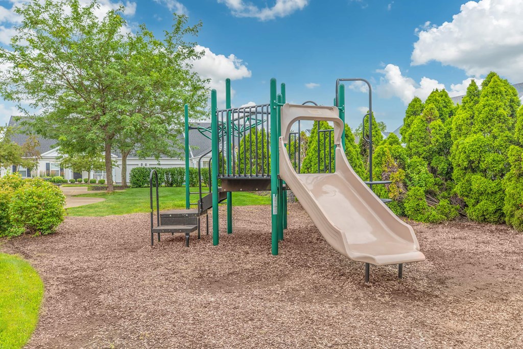 a playground with a slide in a park