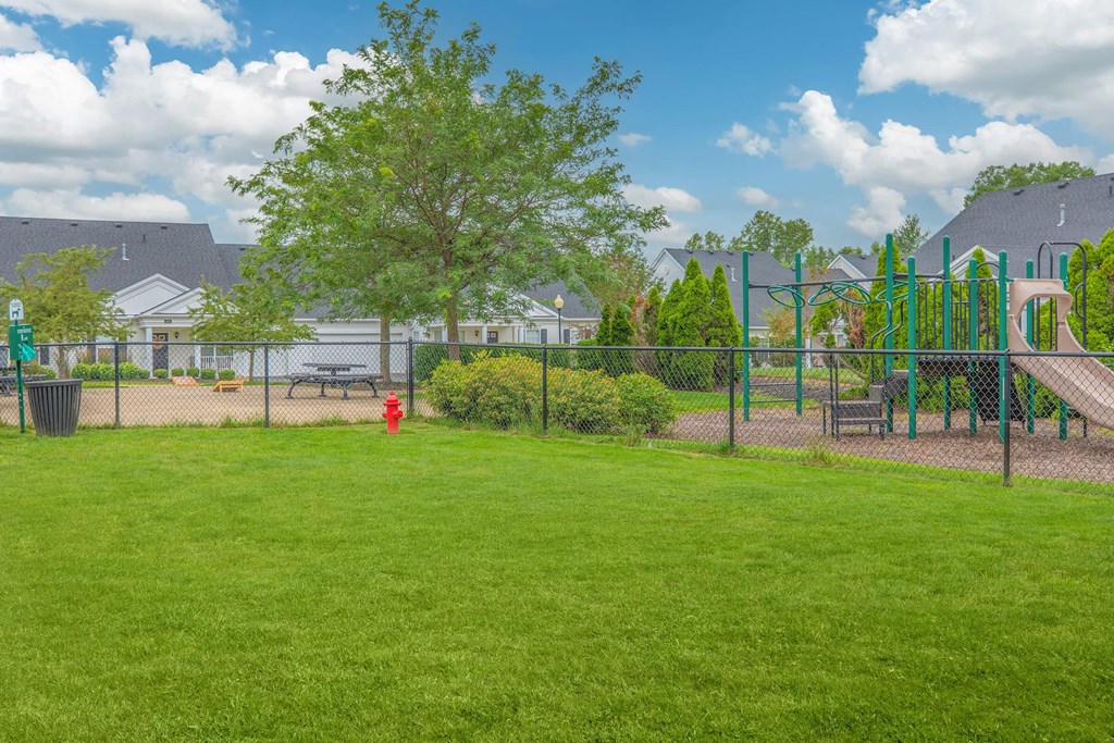 a playground with a fire hydrant in the grass