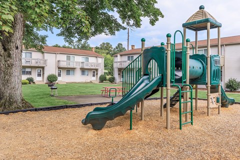 multi-age playscape