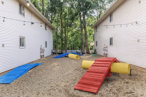 dog park/bark park