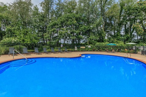 a large blue swimming pool with trees in the background