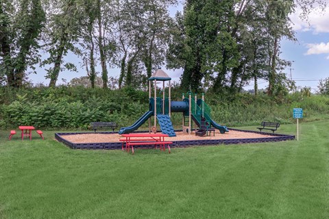 a playground in a park with a blue swing set