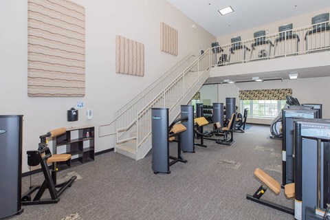A gym with a variety of equipment including a treadmill, weights, and a bench press.