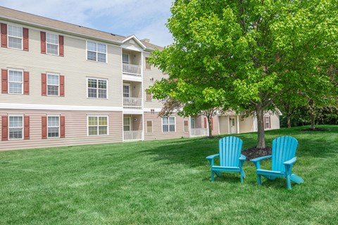 two blue chairs sitting under a tree in front of an apartment building