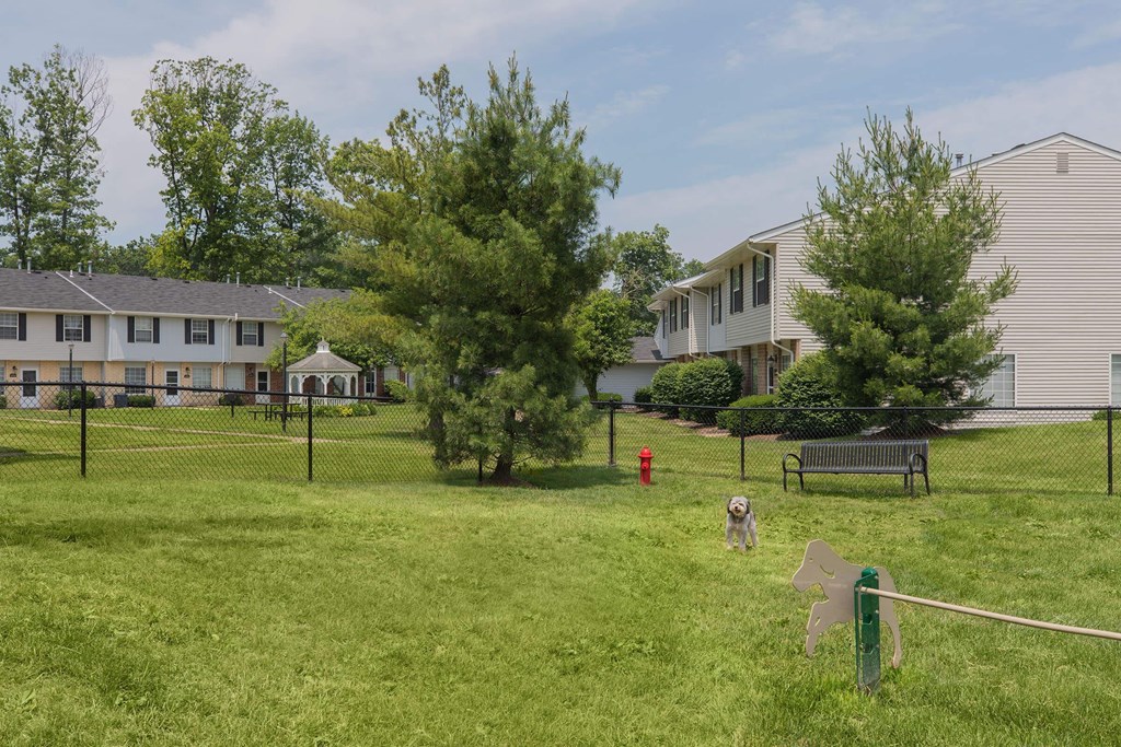A dog is standing in a grassy area in front of a building.