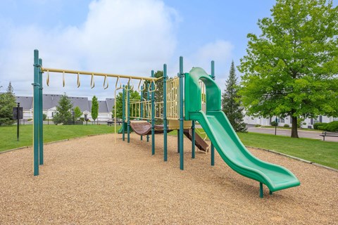 a playground at a park with a slide