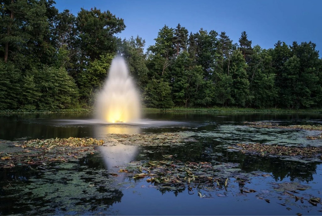 A fountain in the middle of a lake surrounded by trees.