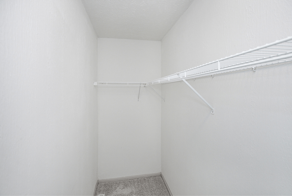 A white closet with a shelf and a carpeted floor.