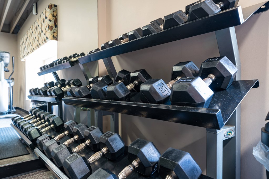 Fitness center free weights