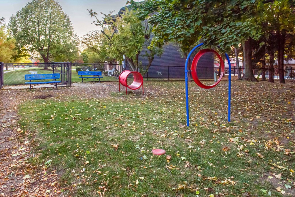 A playground with a red ring and blue pole.