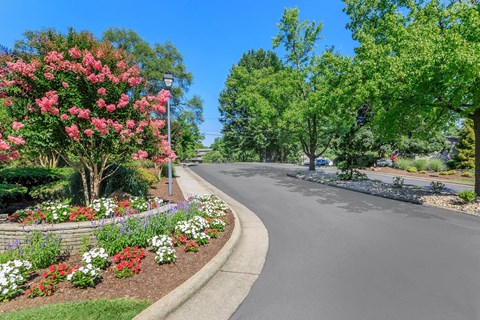 a street with flowers and trees on the side of a road