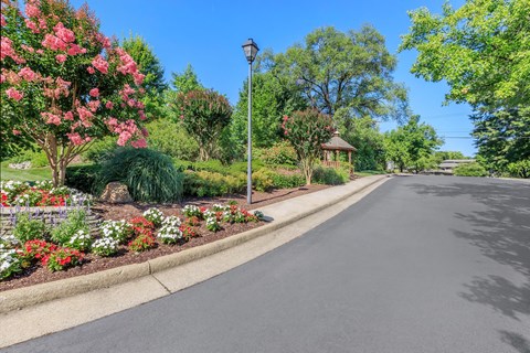 a street with a garden on the side of a road