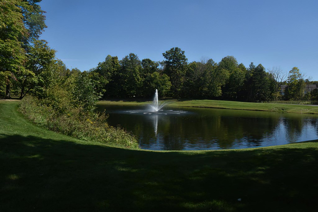 a fountain in the middle of a pond