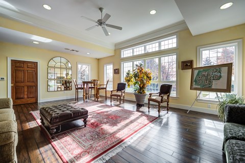 A living room with a rug and a fan.