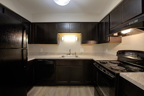 a kitchen with black cabinets and a sink and a refrigerator