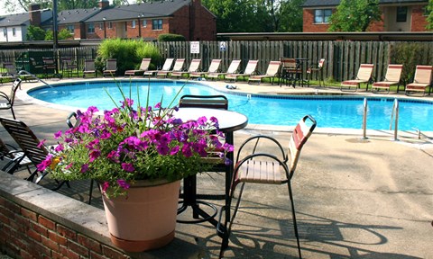 A pool with chairs around it and a flower pot on the side.