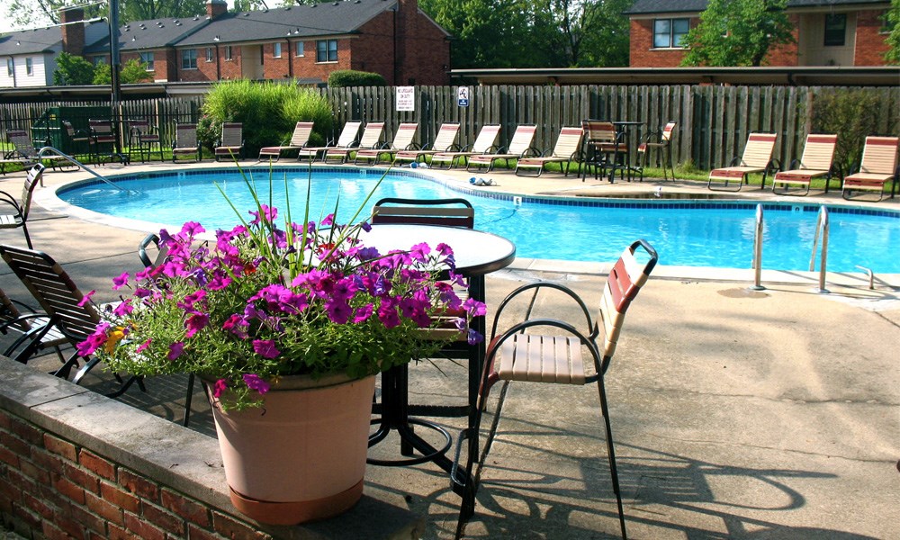 A pool with chairs around it and a flower pot on the side.