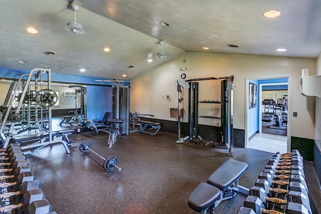 a gym with weights and cardio equipment in a home