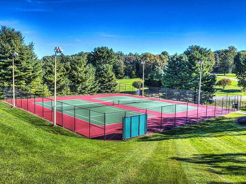a tennis court on a green field with trees in the background