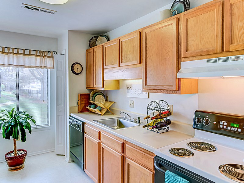 a kitchen with a sink and a stove and a window