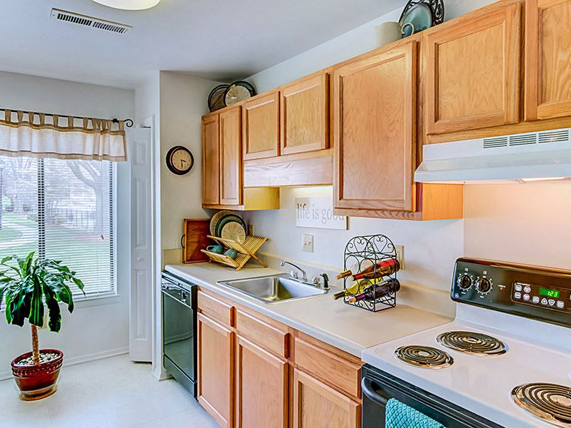 3101-H Honeywood Ln. 1-2 Beds Apartment for Rent - Photo Gallery