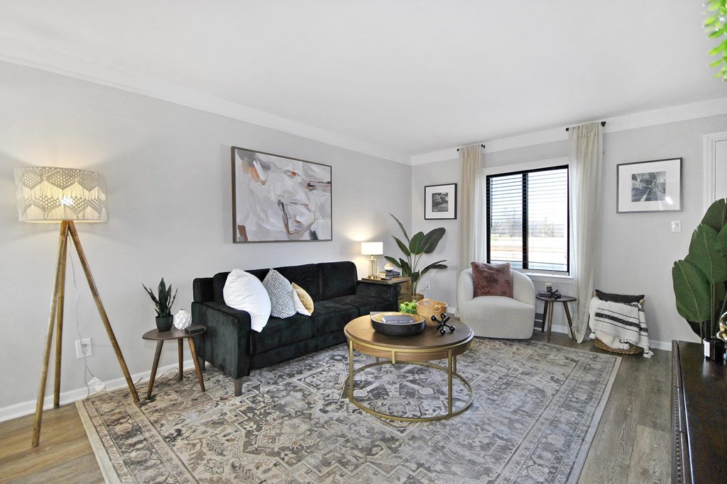 a living room with a couch and a chair and a rug