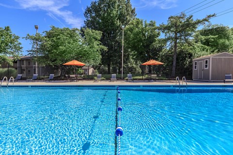 a swimming pool with umbrellas and a building and trees