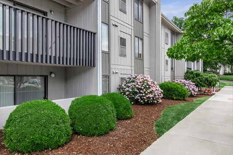 our apartments offer a walkway and landscaping with flowers and bushes