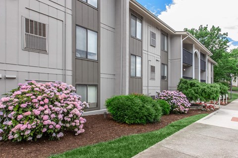 our apartments offer a walkway and flowering shrubs in front of our building