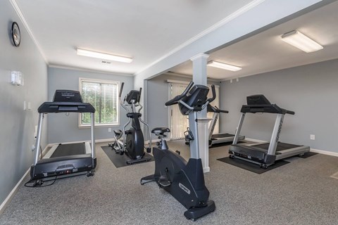a gym with treadmills and other exercise equipment in a home gym