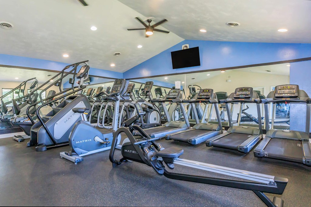 the gym is equipped with state of the art equipment