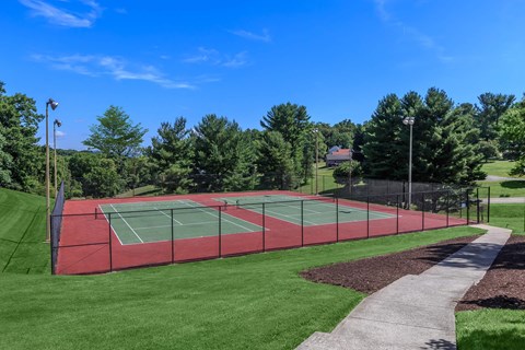a tennis court on a lawn next to a sidewalk