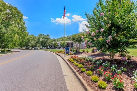 a street with a flag and flowers on the side of a road