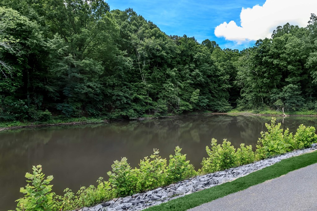 a river running through a forest next to a path