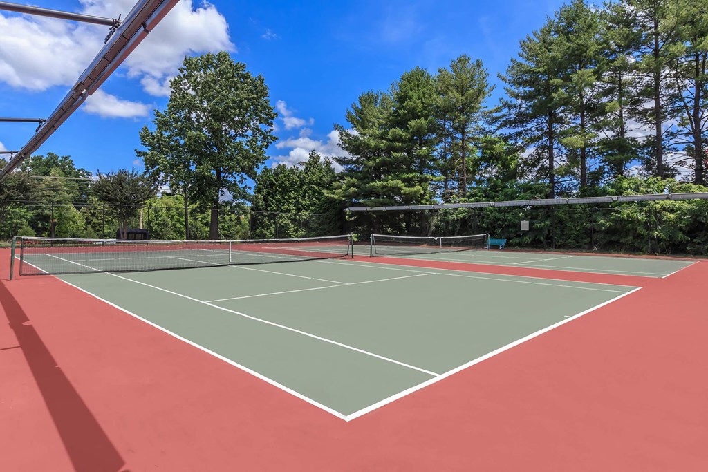 a tennis court with trees and a blue sky in the background
